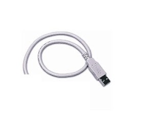 Câble droit USB, Type A, - CAB-426E